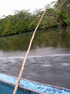 a pirhana fishing pole