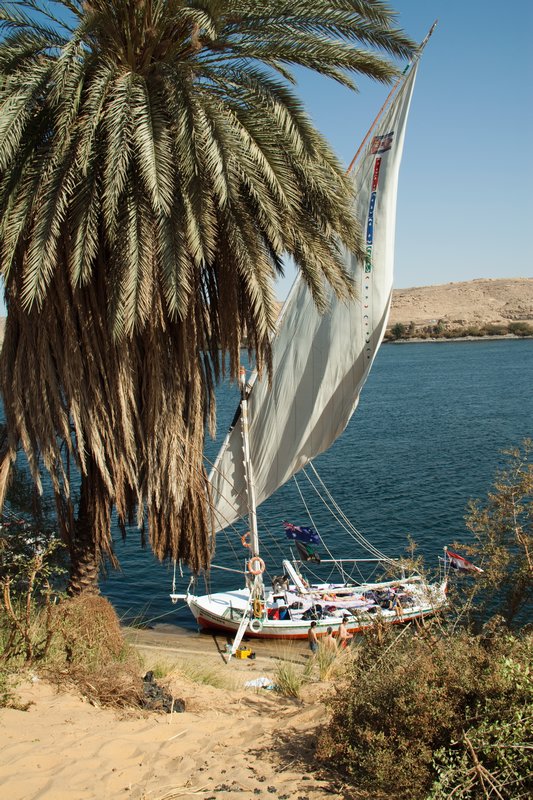 Our Felucca boat