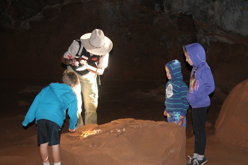 Looking at bones in the lava tube
