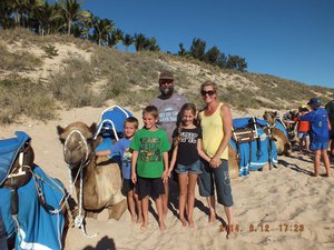 Camels on Cable Beach