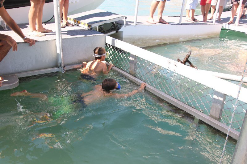 image ours swimming in the shark cage