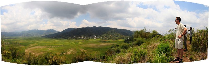 Panoramic view of rice fields