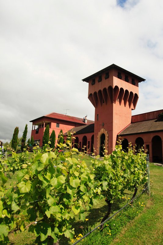 Highfield Winery