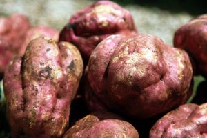A reddish potato thing