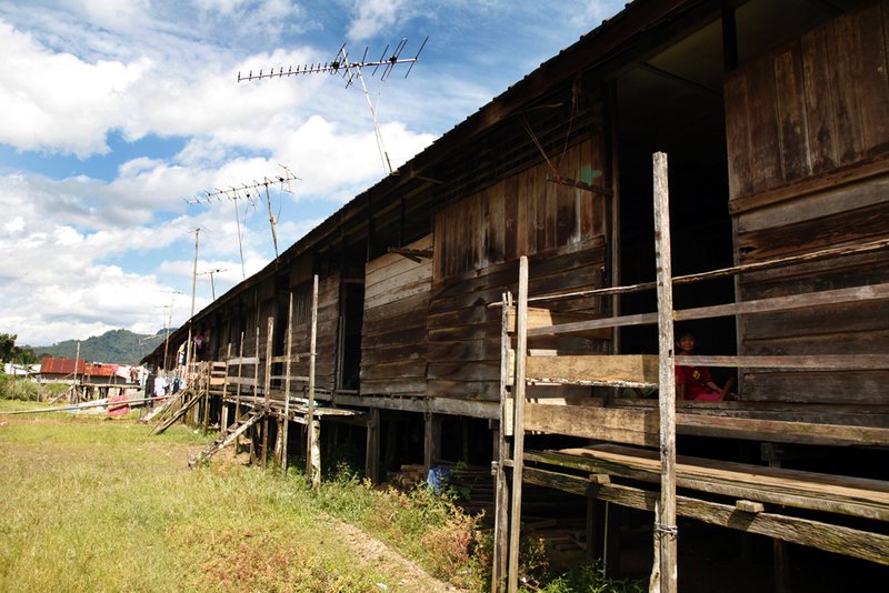 View of longhouse