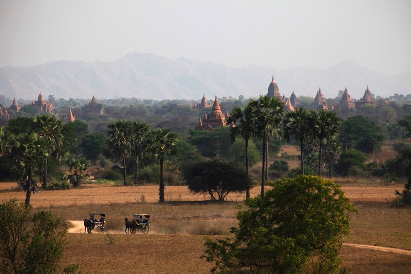 Bagan temples in the morning light