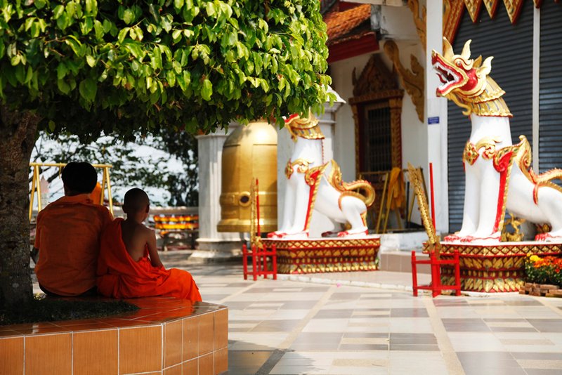 Monks take refuge from the sun under a tree. 