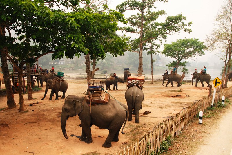 Elephant parking area