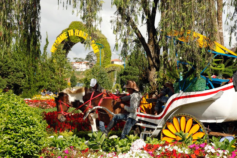 Country scene in the Flower Park