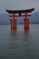 The "floating" Torii Gate