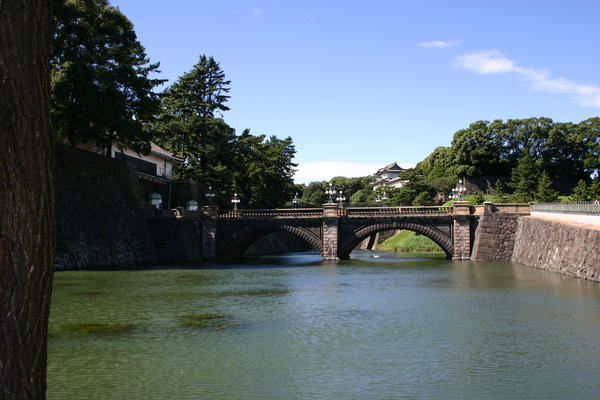 The imperial palace (pretty much all we could see!)