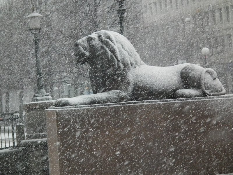 Lion by the Canal
