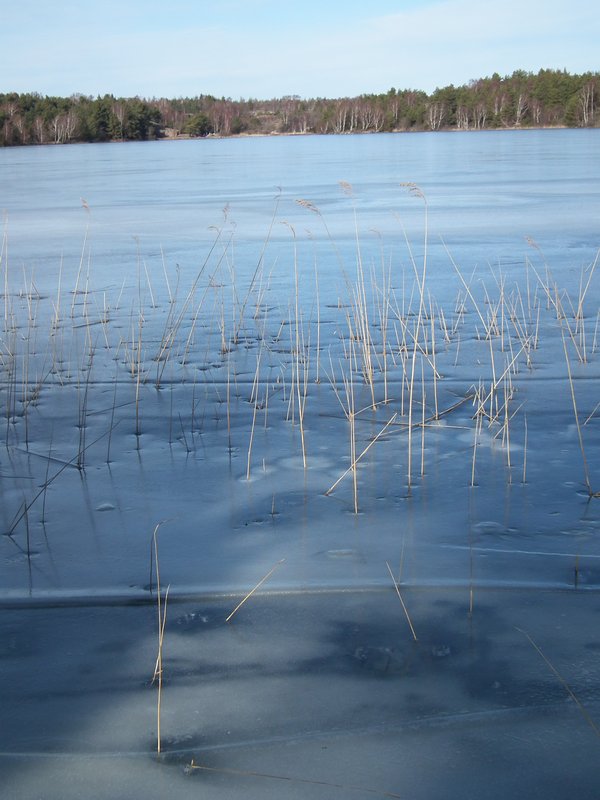 Frozen Oxsjon Lake