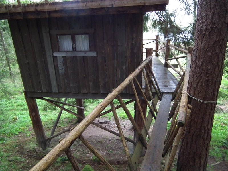 Bridge to the tree house 
