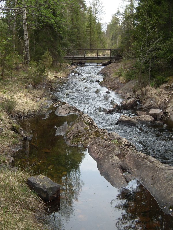 Stream near Glaskogen