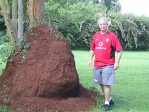 Eddy makes a mountain out of Termite mound