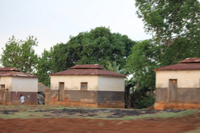 Tea workers' houses