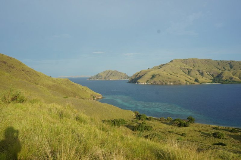 View of Komodo island