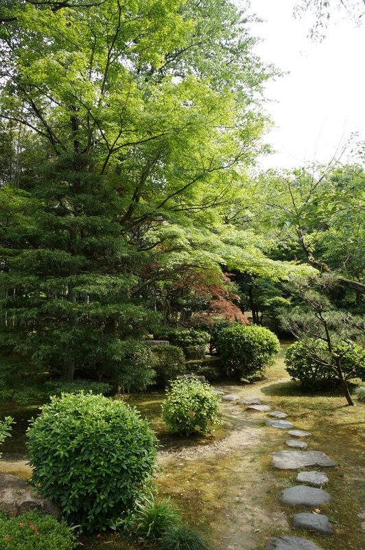 Traditional garden