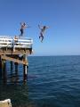 Jumping the pier