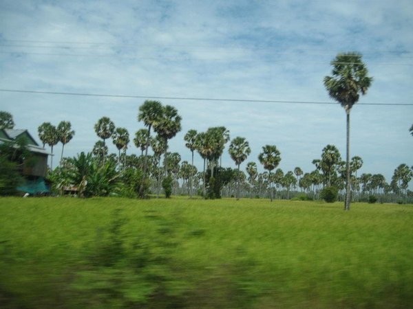 Rural Cambodia 2