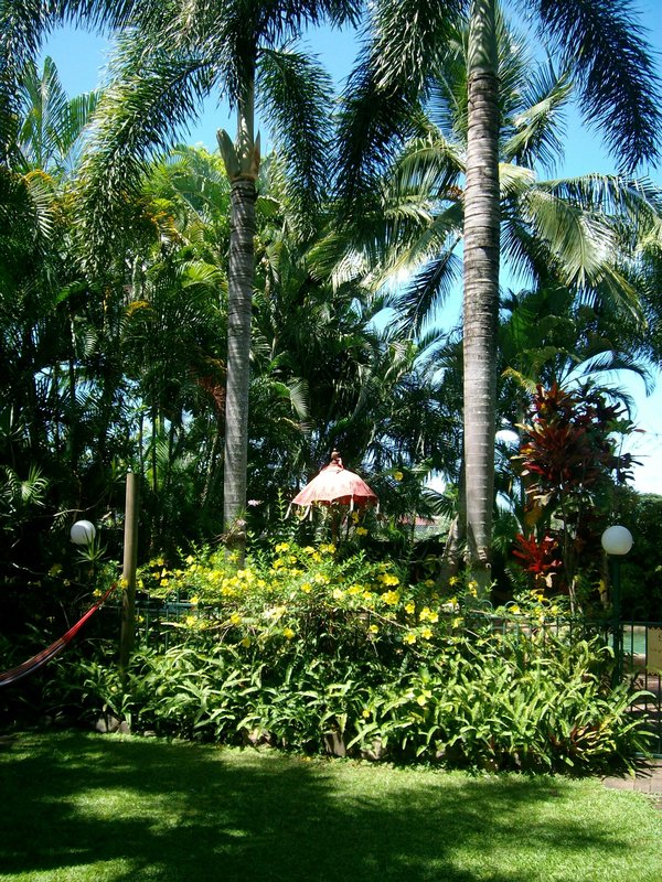 Garten im Tropic Days