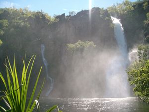Wangi Falls Litchfield