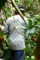 hacking through the jungle with his machete