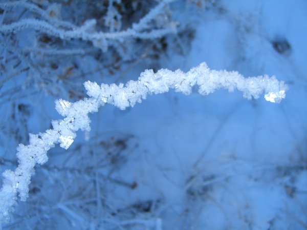 branch crystals