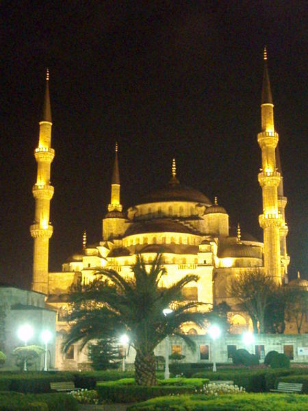 Blue Mosque by nıght