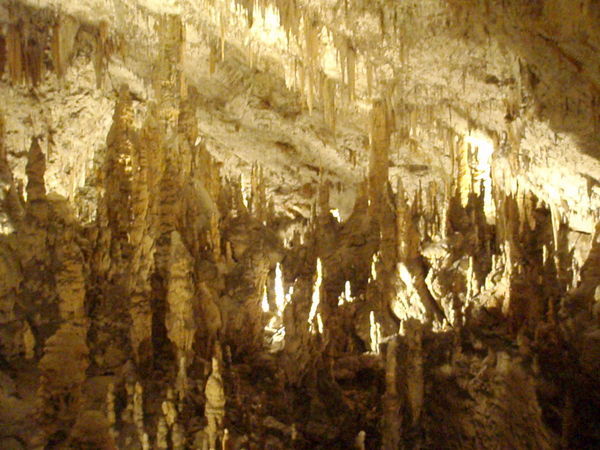 Postojna Caves #2
