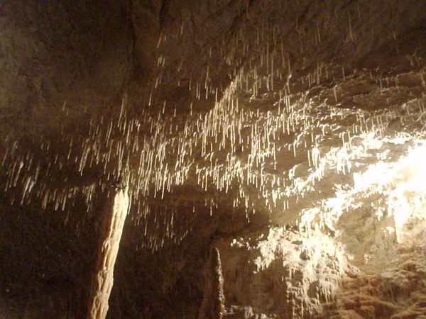 Postojna Caves #3