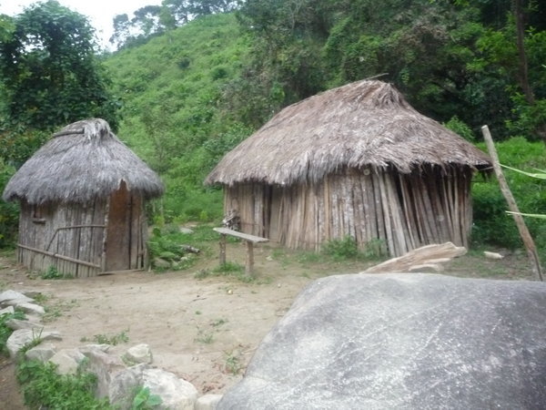 Local huts