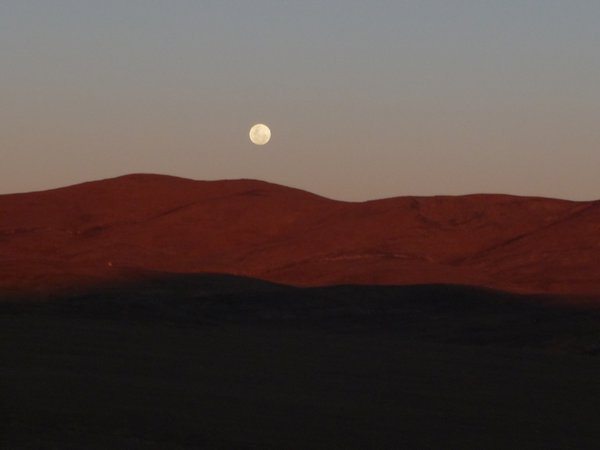 Atacama Desert #2