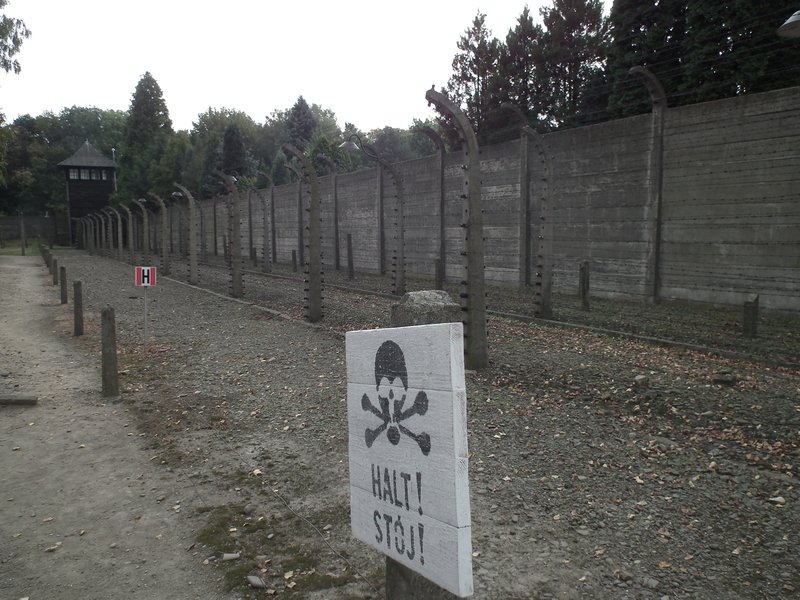 Auschwitz #4
