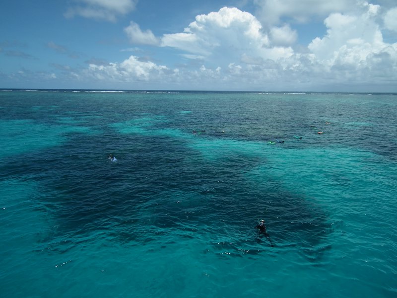 Great Barrier Reef #2
