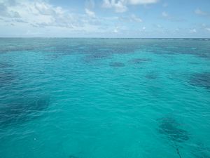 Great Barrier Reef #3