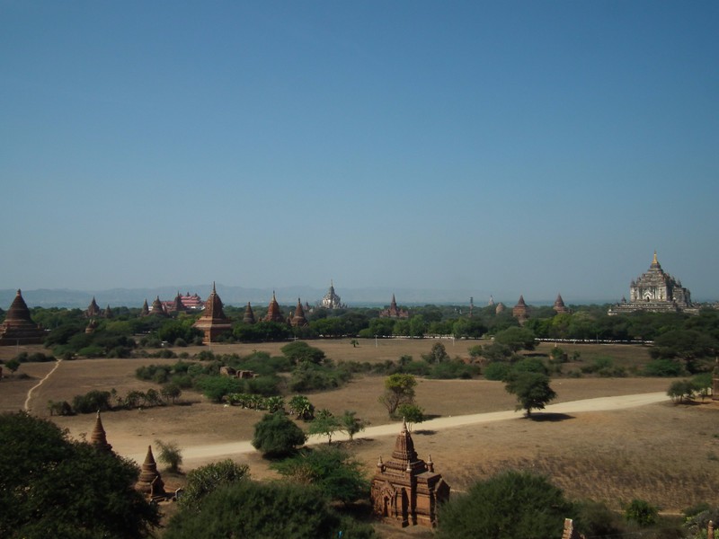 Bagan #15