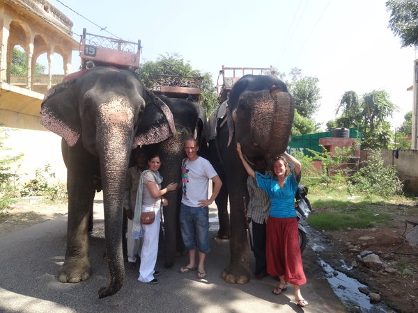 Elephant hugging in Jaipur