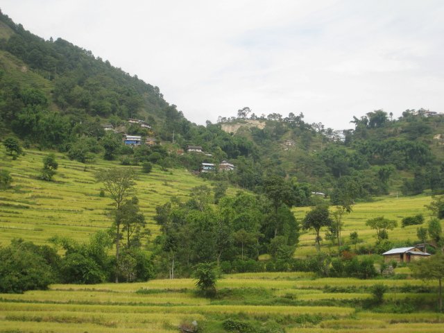 Terraced fields