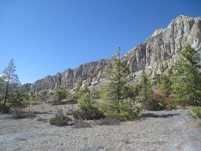Wild west landscape
