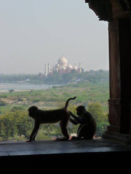 Taj Mahal - comme vous ne l'avez jamais vu