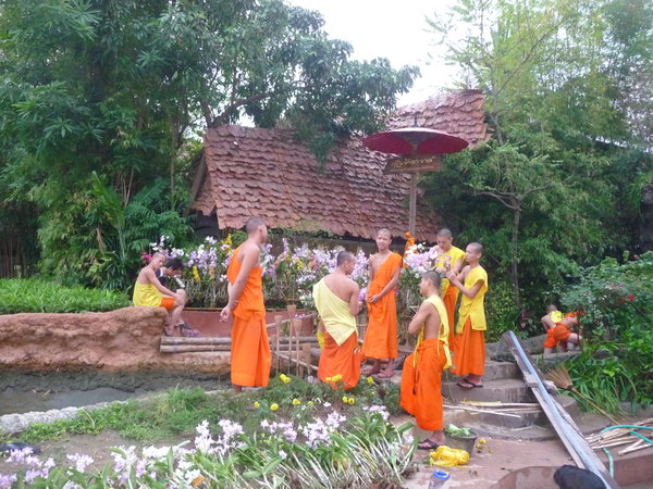 Chiang Mai - jeunes moines defaisant la decoration de fetes