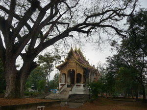 Chiang Mai - temple