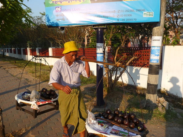 Yangon- on se depeche pour vendre les avocados