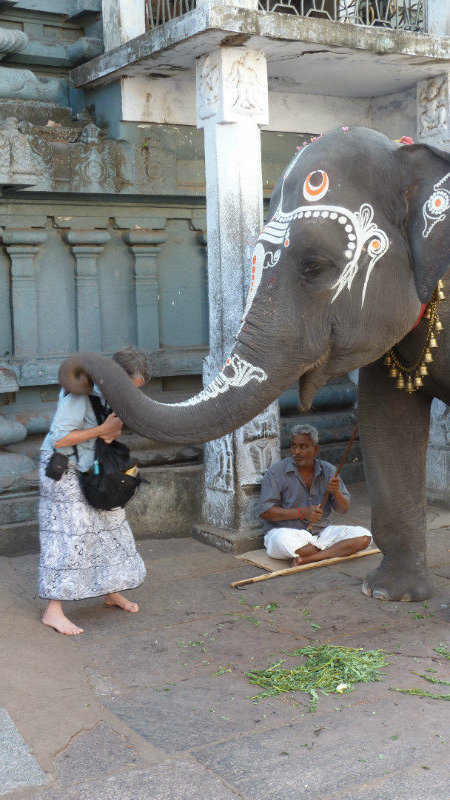 Chennai - elephant benissant Huguette
