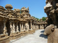 Kanchipuram - sculptures a Kailasanathar