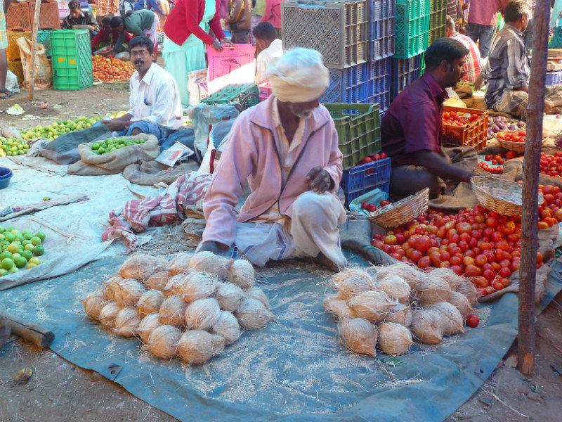 Kodaikanal - marche, vendeur de coconuts