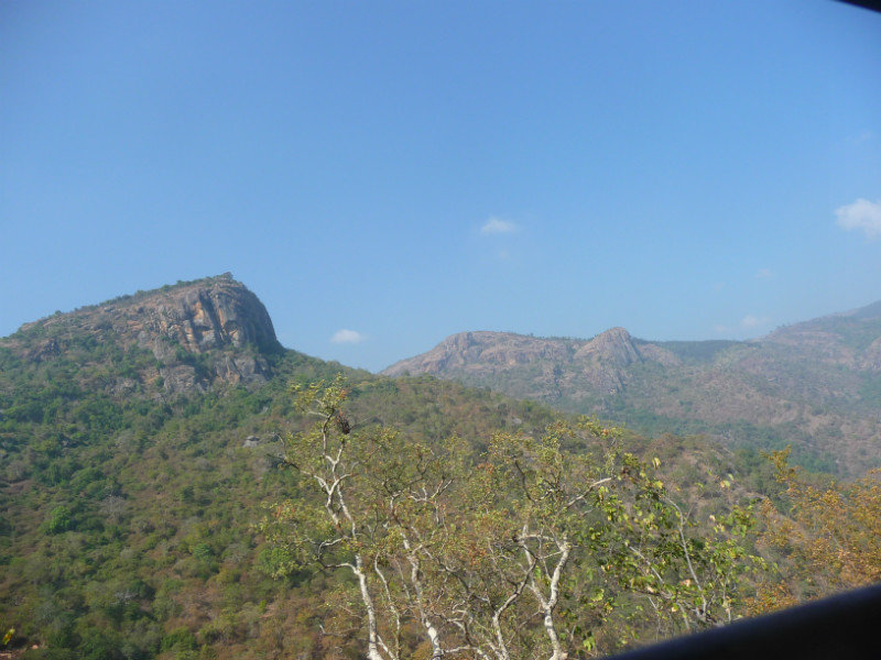 Les Nilgiris - la route de descente