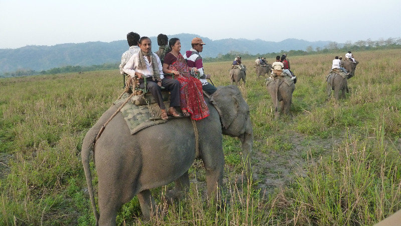 Kaziranga - safari a dos d'elephants